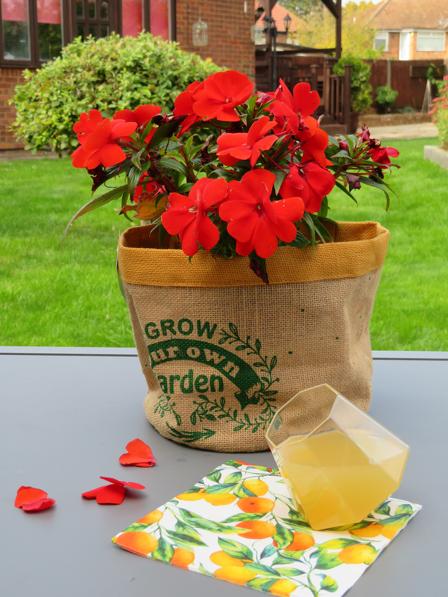 indoor-jute-plant-pots-1