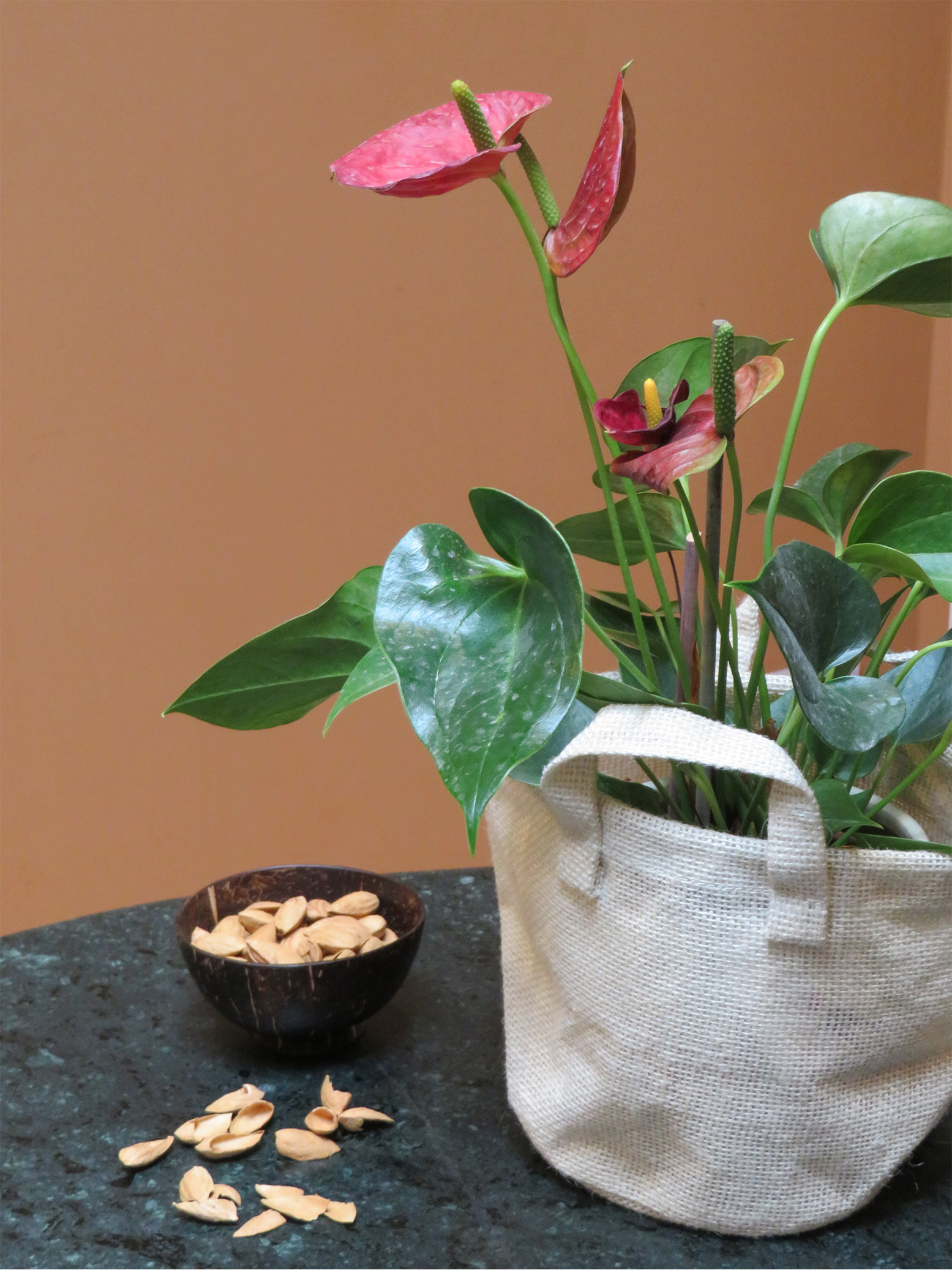 indoor-jute-plant-pots-2