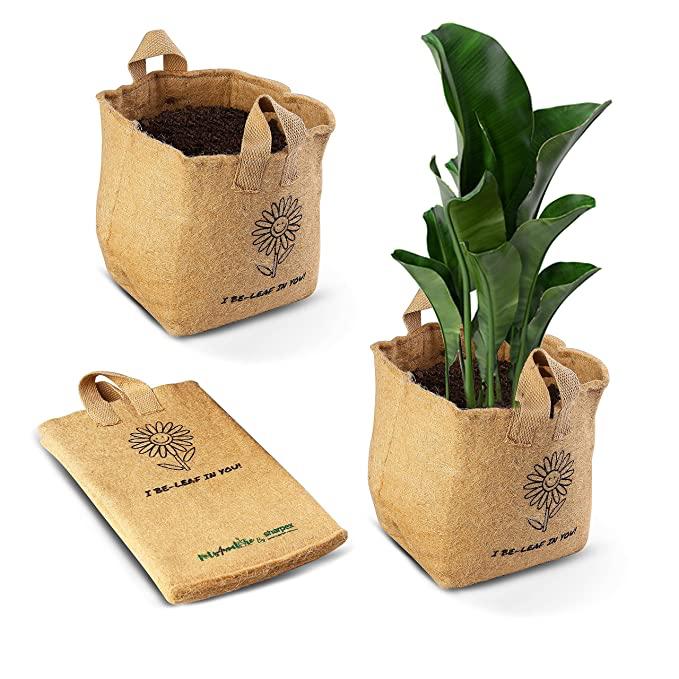 mitti-more-collection-11