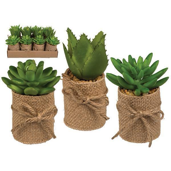 mitti-more-collection-13