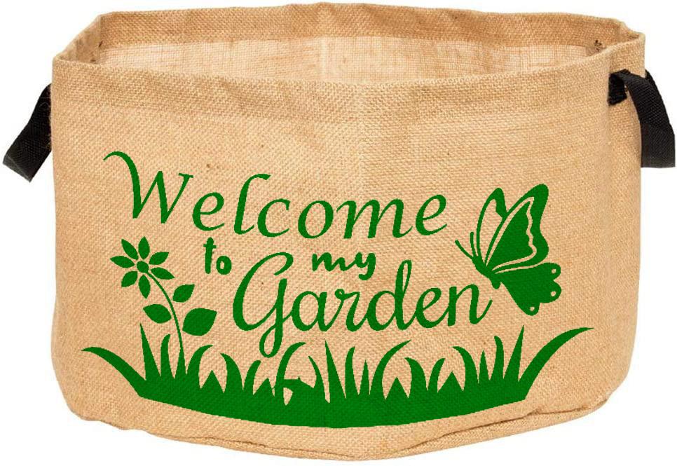 mitti-more-collection-5