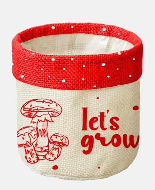 mitti-more-collection-7