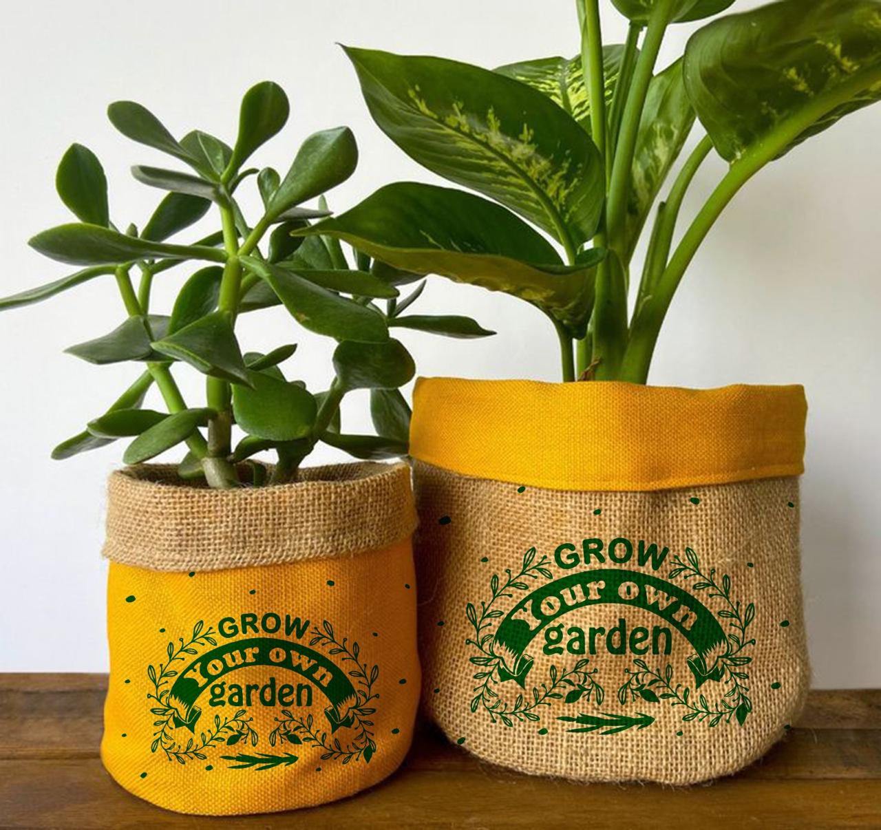 mitti-more-collection-8