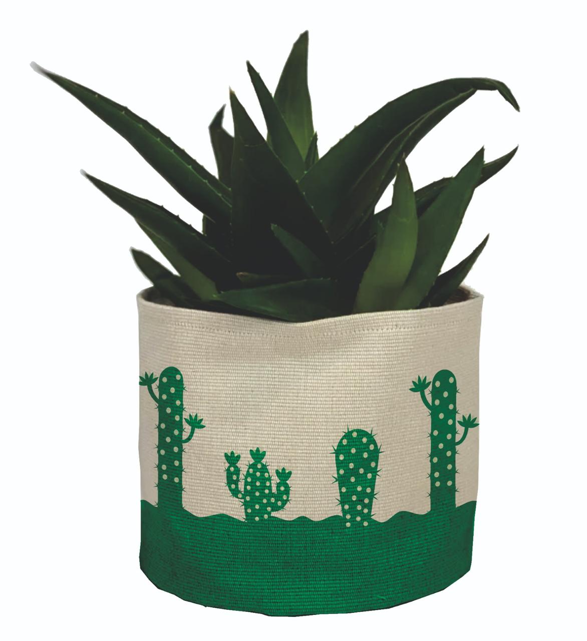 mitti-more-collection-9